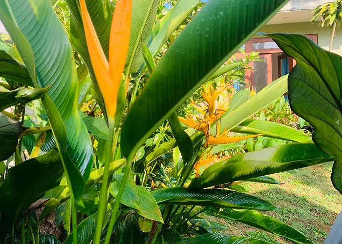 Villa La Verna Boossa